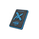 MGE.tf 1v1 World Championship Participant