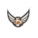 RGL.gg - Advanced-2 Participant - Highlander