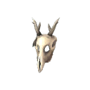 The Shaman's Skull