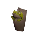 Tropical Toad