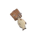 Bait and Bite