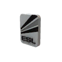 ESL Season VI Premier Division 2nd Place