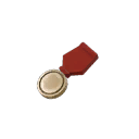 Tournament Medal